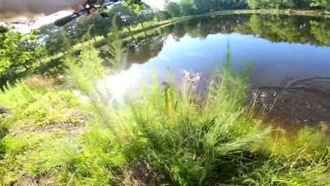 Fishing With GIANT Livebait WORMS