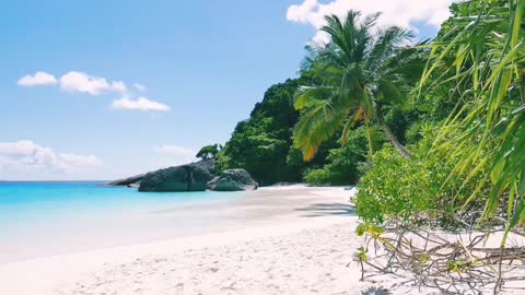 Ocean Waves Sounds for Deep Sleeping, Relaxing & calming sounds