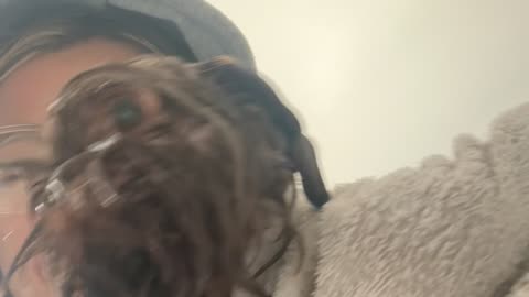 Mocha the Dog Looks Pitiful Soaking Wet