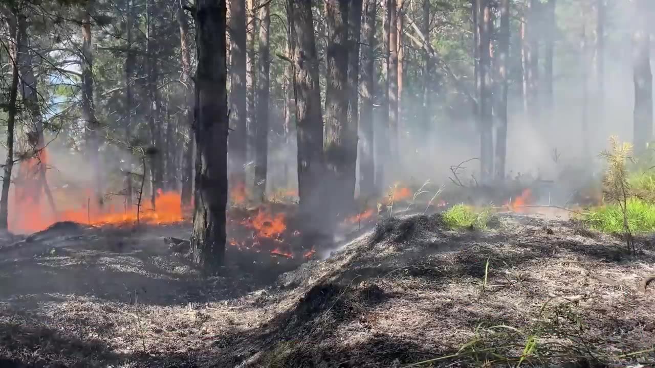 Are Wildfires Getting Worse_ – We Asked a NASA Scientist