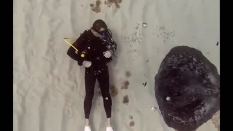 Biggest STINGRAY
