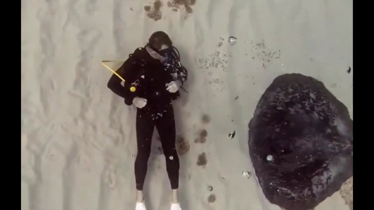 Biggest STINGRAY