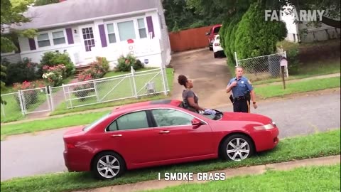 People Being Idiots: Stupidity At Its Best