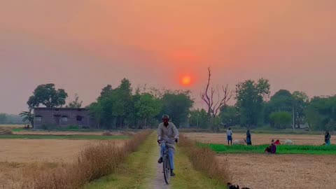 Best Heart 💓 Village Status
