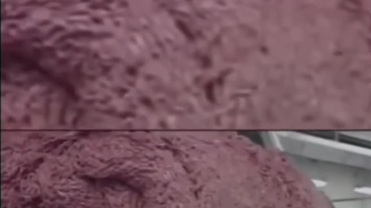 Did you know this about meat?