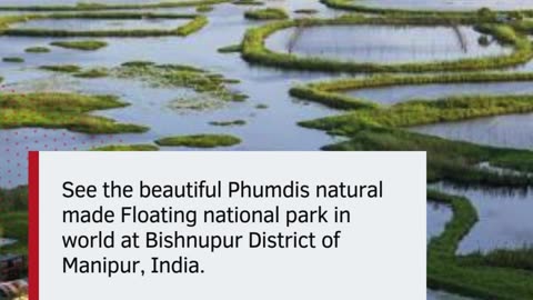 Discover Keibul Lamjao National Park!