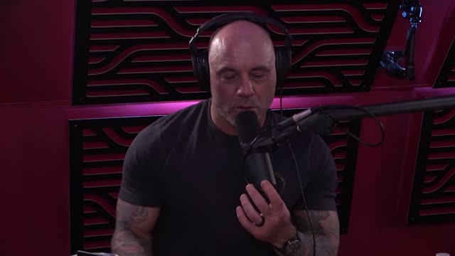 Joe Rogan Weighs In on Voter Fraud Claims