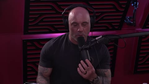 Joe Rogan Weighs In on Voter Fraud Claims
