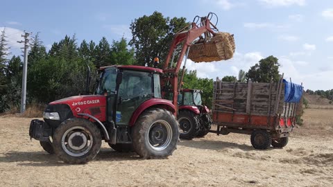 agriculture