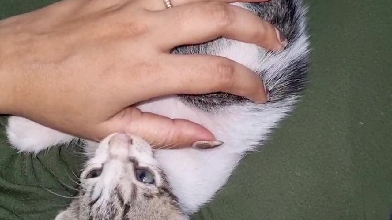 Here's my naughtiest leo