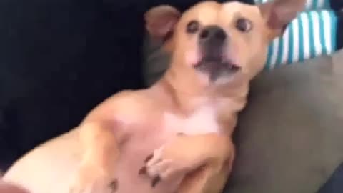 That pause before your sneeze!