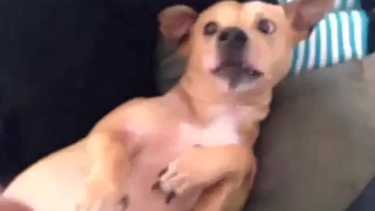 That pause before your sneeze!