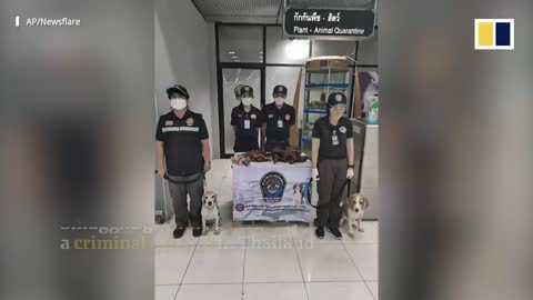 Smuggled Chinese bat meat seized in Thailand airport
