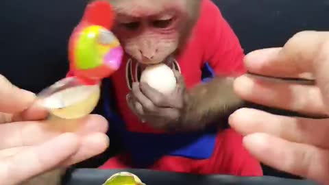 Cute Monkey Bin 2 Years Old