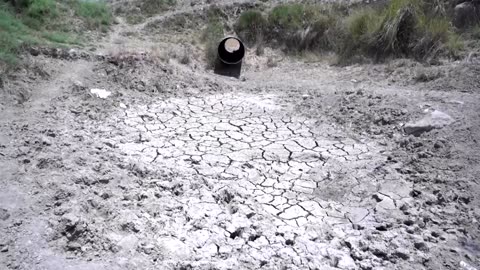 Drought imperils an Iraqi boy's herd and way of life