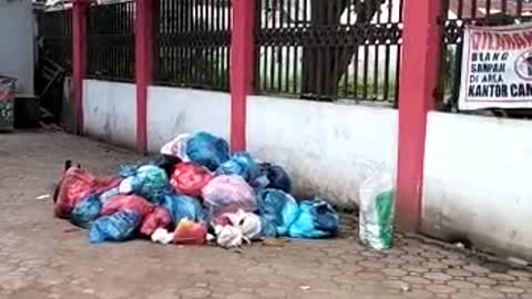 rubbish
