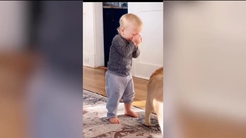 Best funny fails 2023 #funny #funnyvideo #dog #cats