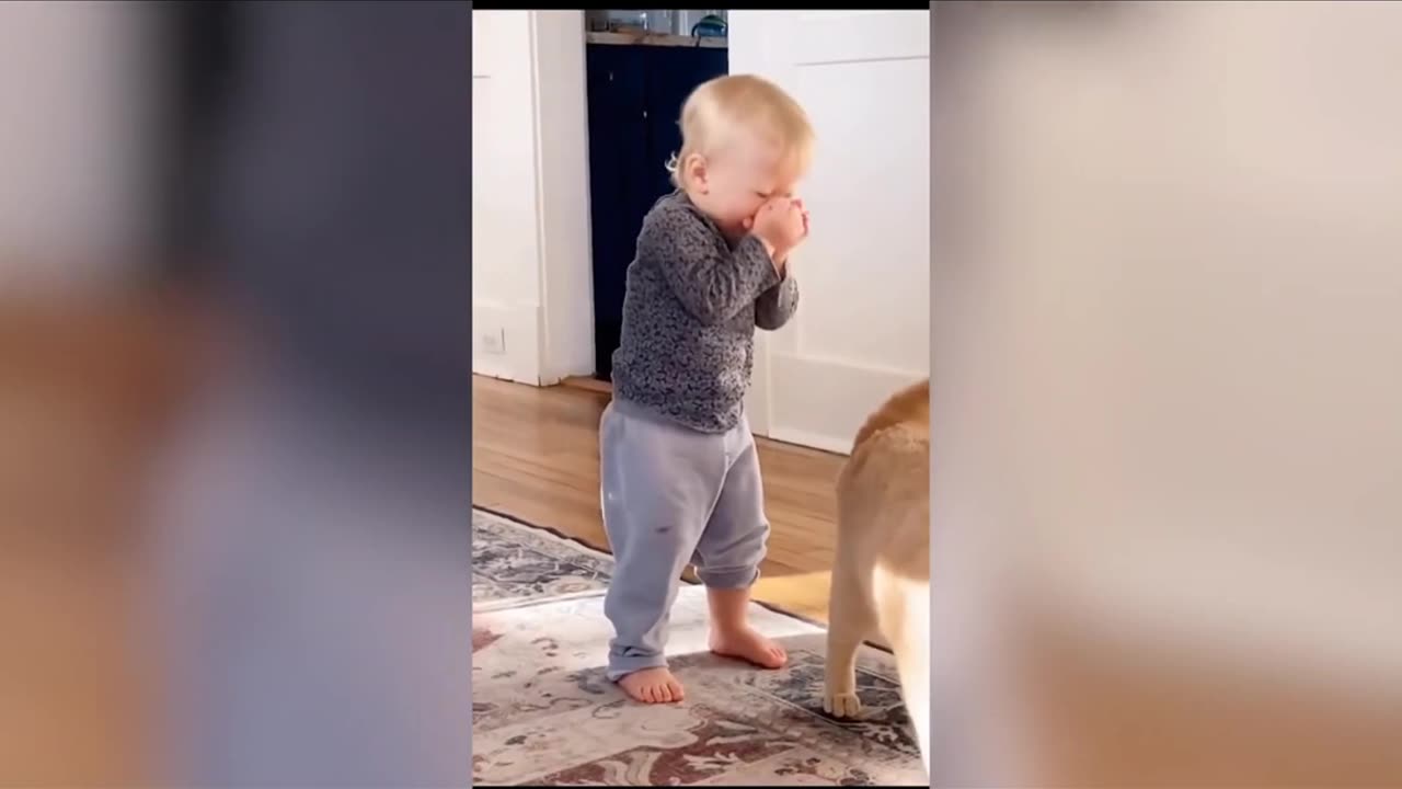 Best funny fails 2023 #funny #funnyvideo #dog #cats