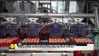 WION Business News | Inflation hits egg consumers in Malaysia