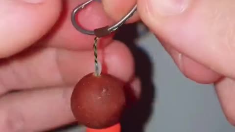 modern perfection of rose-shaded electricity