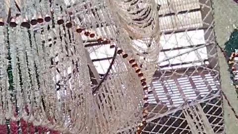 live darshan ...