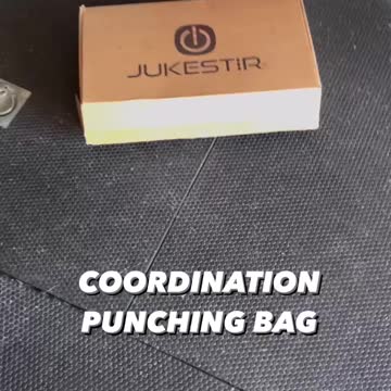 Jukestir Coordination Punching Bag Preview