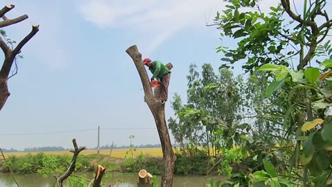 Adventure jobs in vietnam