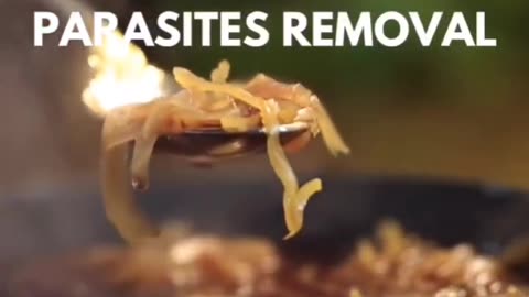 Powerful Parasite Removal Soup🔥