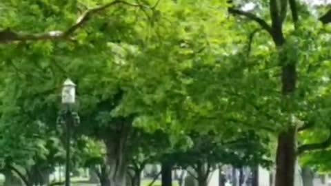 Did Nancy Drew Record The Removal of the Old Guard and a Convention of States Going on in DC?