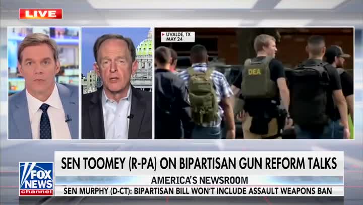 Fox News's Bill Hemmer Presses GOP Senator On Background Checks