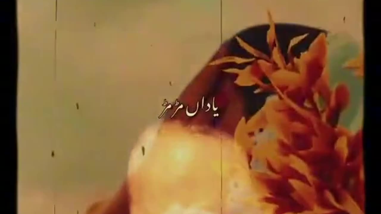 Nusrat Fateh Ali Khan