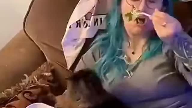 Here kitty kitty