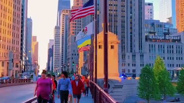 Beautiful view Chicago