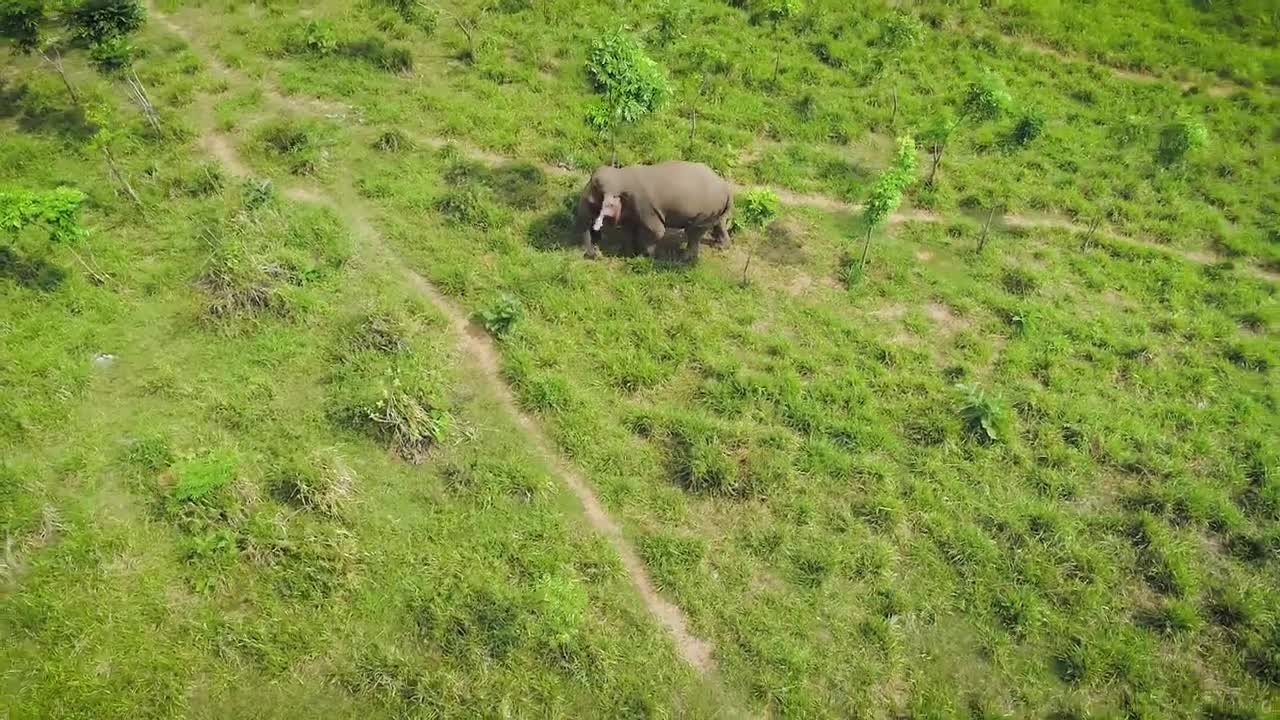 BEAUTIFUL SRI LANKA