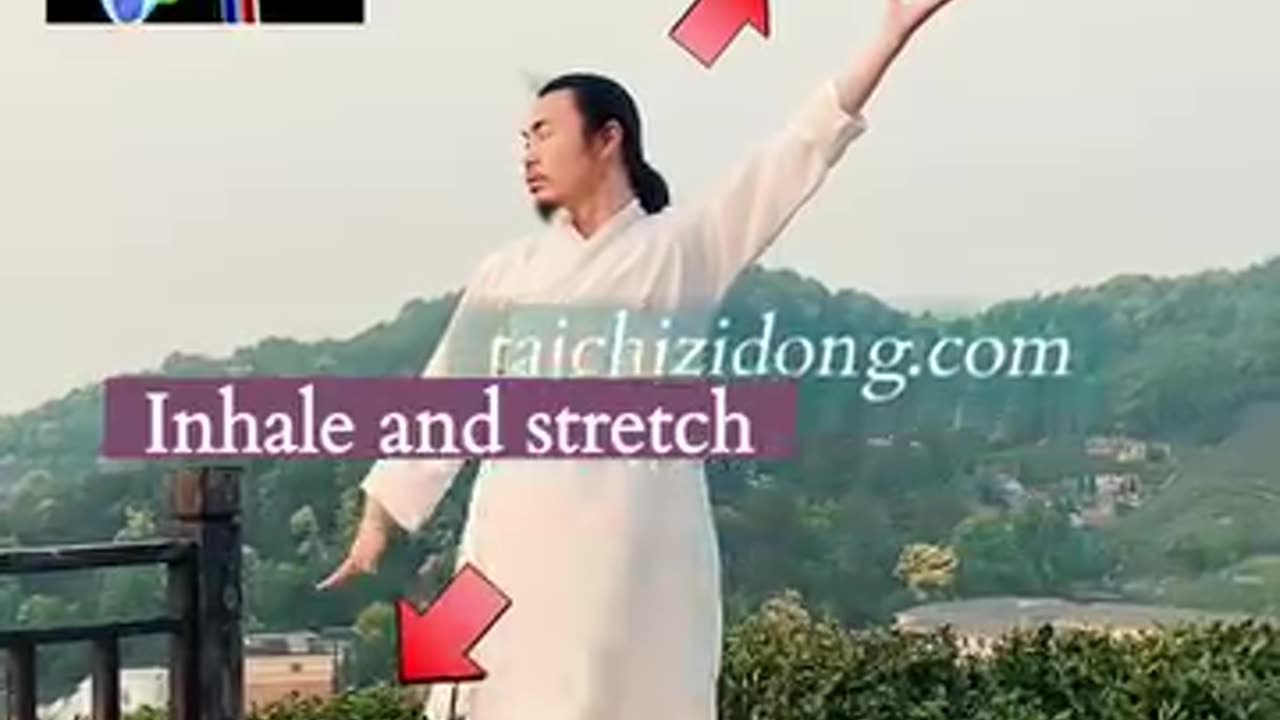 Phlegm in lungs Do this says Tai chi master