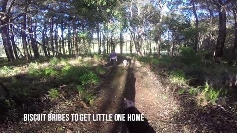 Balingup Heights Hilltop Forest Cottages (GoPro) - June 23