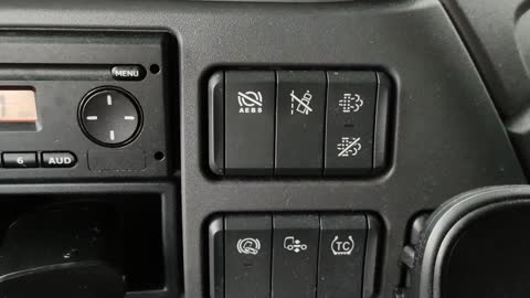 Control de crucero DAF