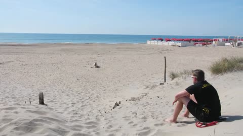 dog playing disc throw in beach