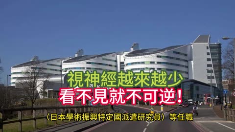 視神經越來越少 看不見就不可逆！