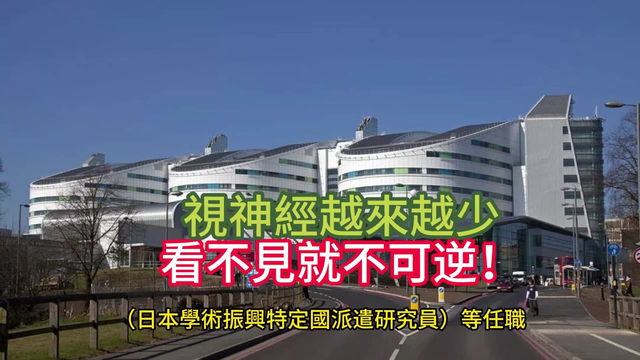 視神經越來越少 看不見就不可逆!