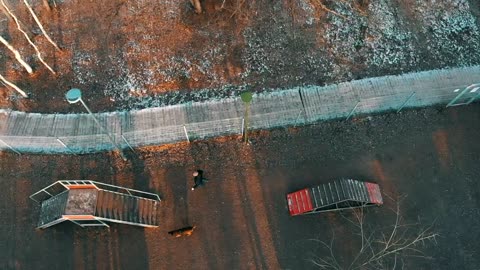 Man walking his dog in a park, aerial shot