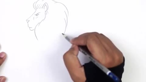 How to draw a lion