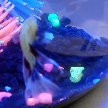 Little worm's magic disappearing act