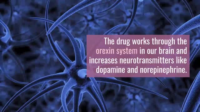 Modvigil | brainsontrial.com