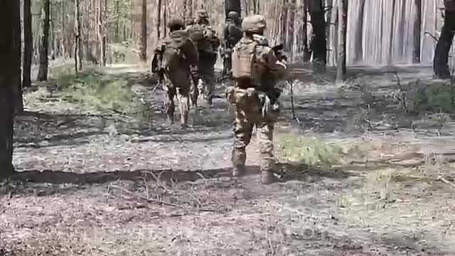 Ukraine War - Russian special forces are clearing a pine forest near Krasny Liman