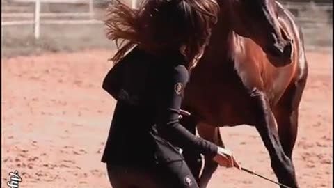 Awesome Horse Training #shorts #shortvideo #video #virals #videoviral