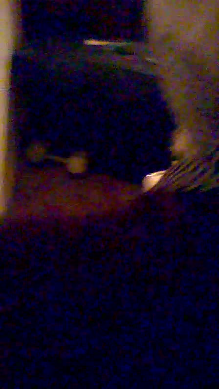 Guy gives his girlfriend screenshots of her cheating as a Valentine's Day present.