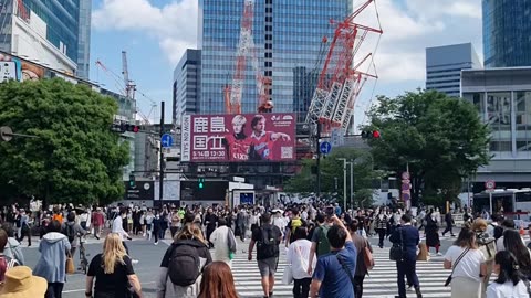 Sibuya cross walk street