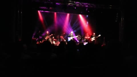 Vörös István (×Prognózis) ¬ Kutya világ