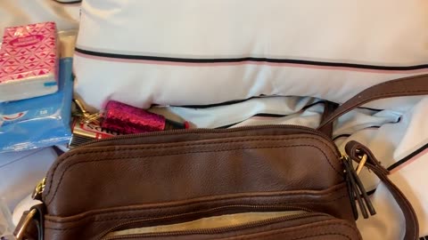 What's in my Brenice Crossbody Bag from Amazon